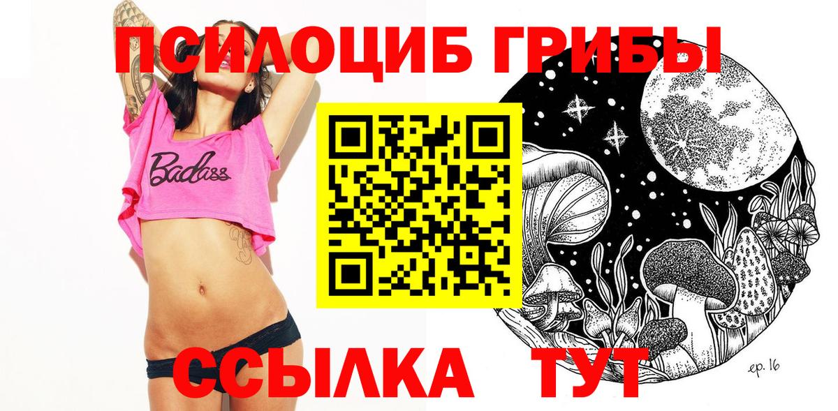 Камышин  Псилоцибиновые грибы Psilocybine cubensis  Вход с VPN 