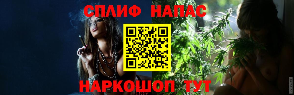 Бошки Шишки Amnesia Камышин
