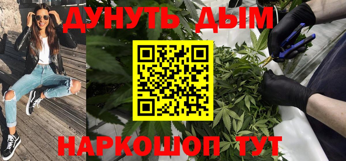 Камышин  Каннабис планчик  МАРИХУАНА конопля  Бошки марихуана план  Вход с VPN 
